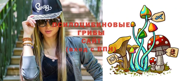 СК Алексеевка